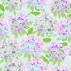 Hydrangea-outline sea breeze