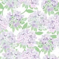 Hydrangea - lavender wallpaper