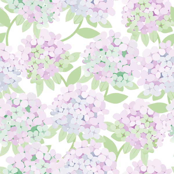 Hydrangea -soft lavender