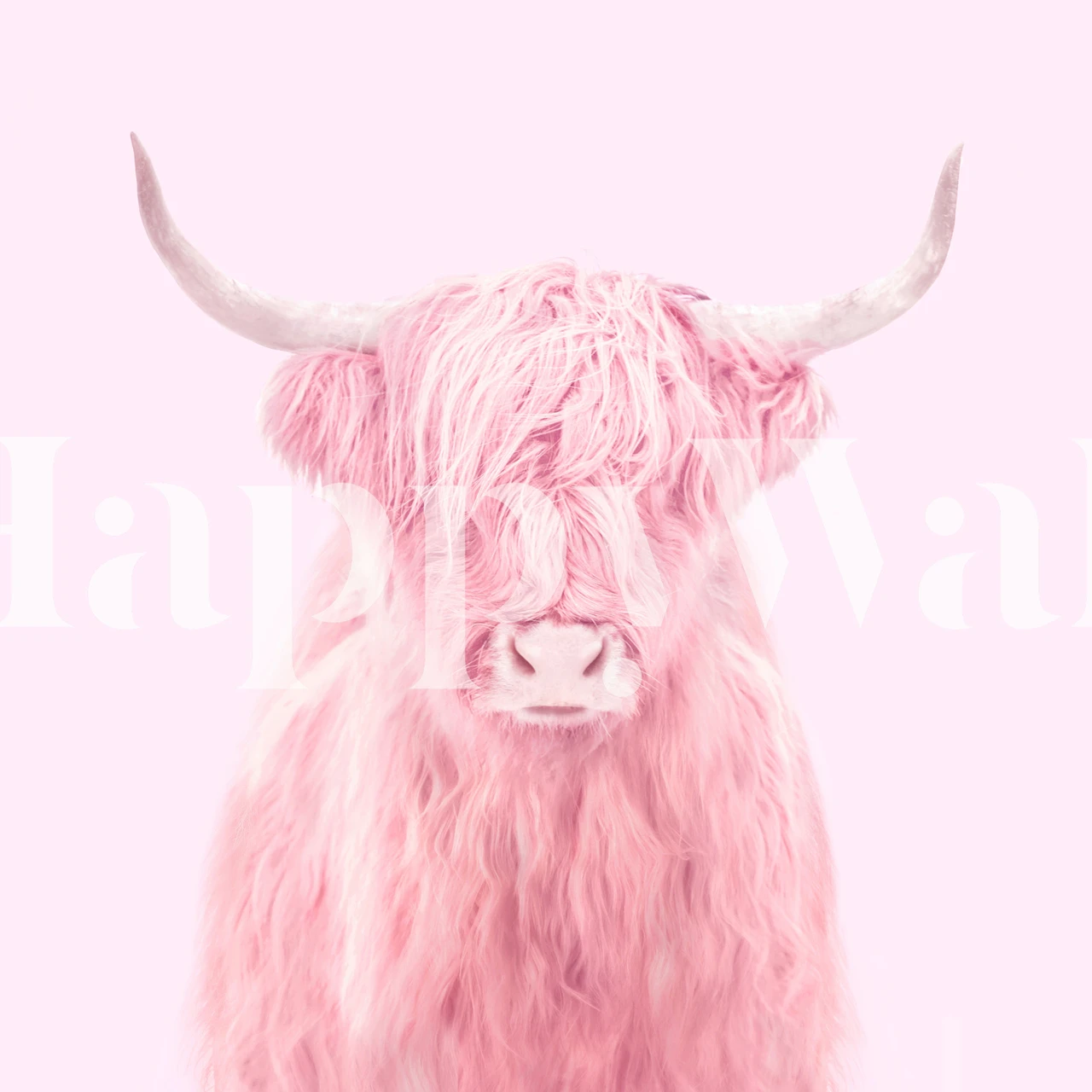 Highland Cow Zidna Mural Izložba