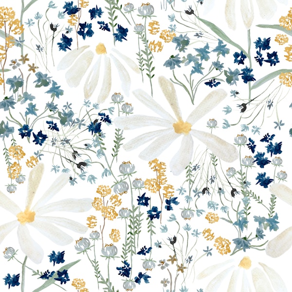 Nottingham Daisies