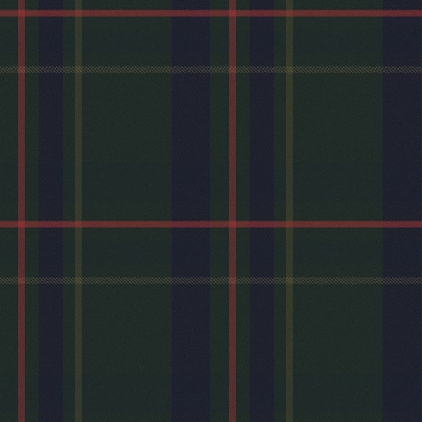 Forest green and navy plaid check Medium