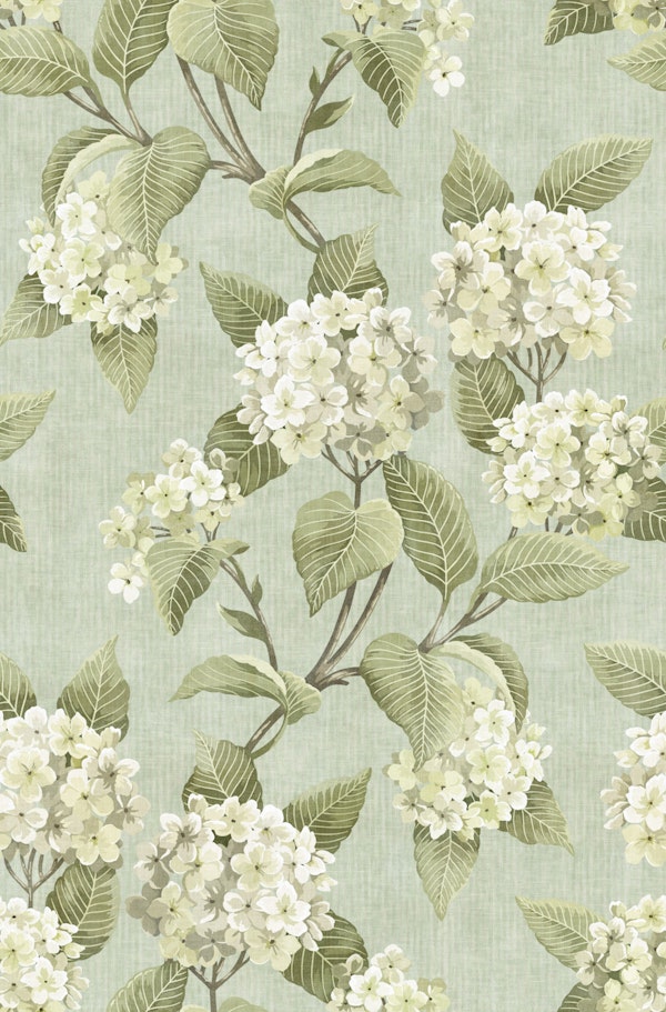 Vintage Hydrangea Floral - Antique Eau De Nil