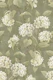 Vintage Hydrangea Floral - Soft Olive Green