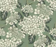 Hydrangea Sanctuary- Sage Cream White
