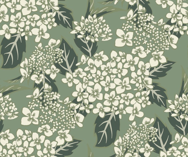 Hydrangea Sanctuary- Sage Cream White