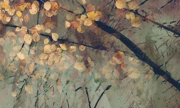 Taupe Tree Branches and Leaves