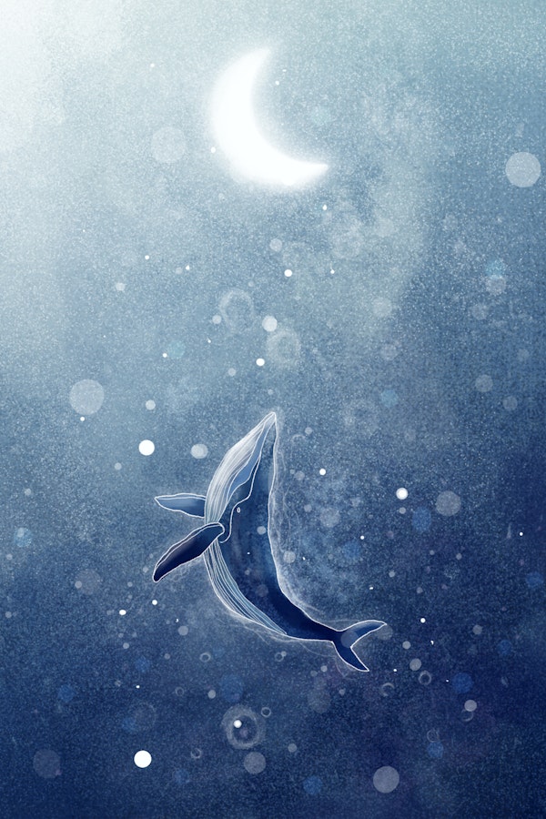 Navy Blue Whale Under Moon