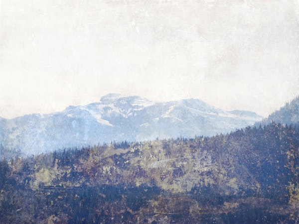 Blue mountain forest landscape