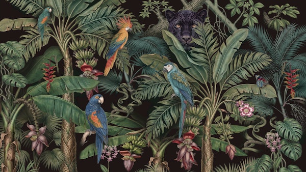 dark green jungle parrots