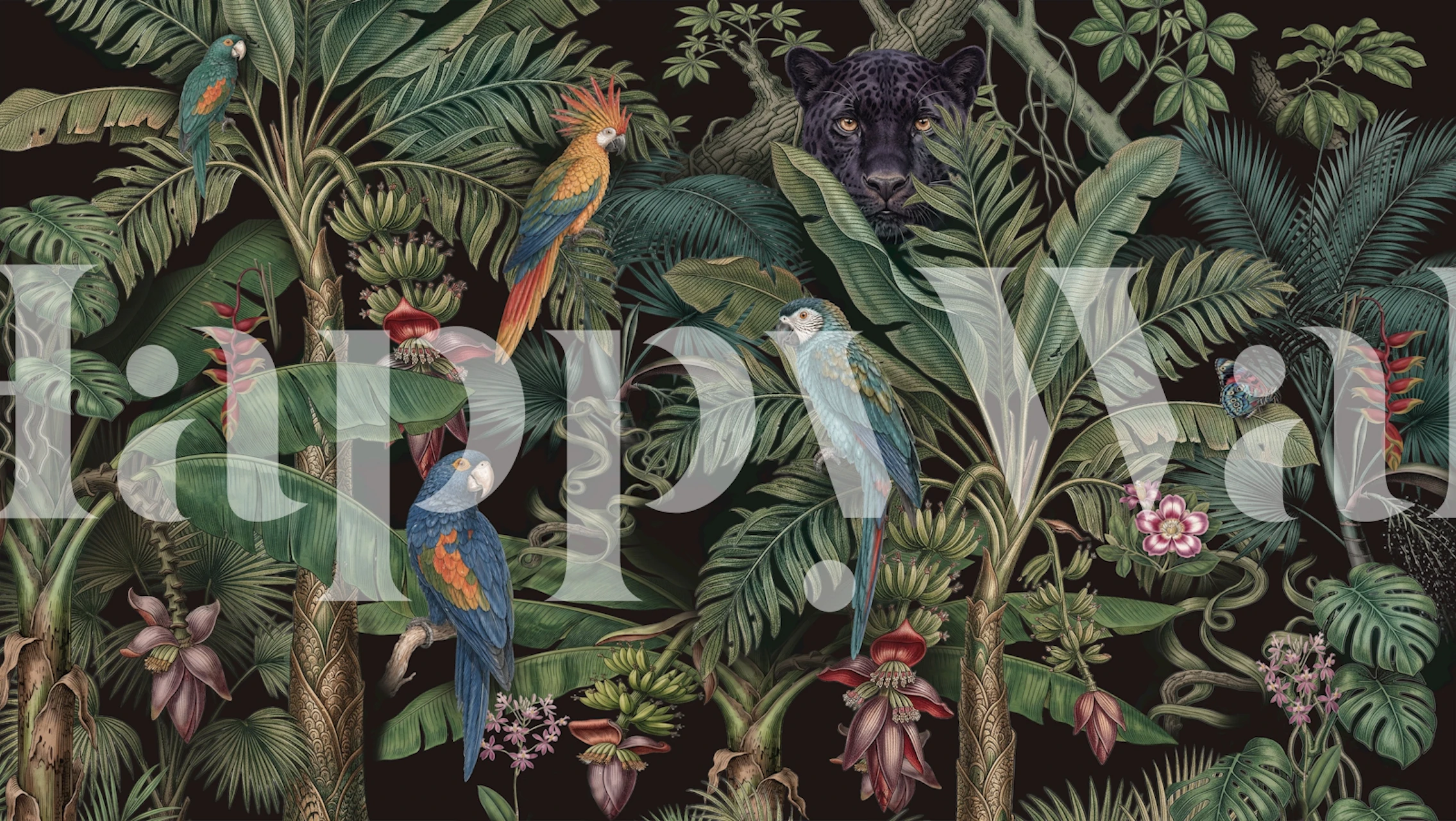 Dark jungle parrot wallpaper in a room