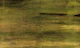 goldisgold