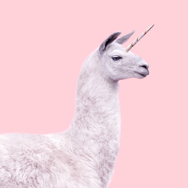 LAMA UNICORN