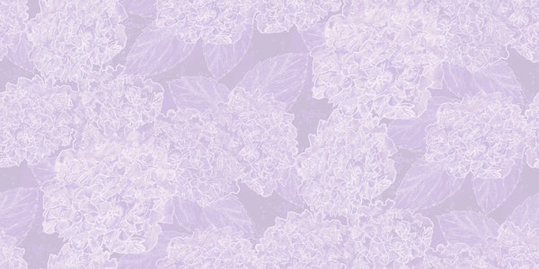 Dusty lavender hydrangea garden flowers