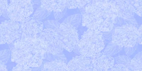 Periwinkle Blue Hydrangea Flowers tapete