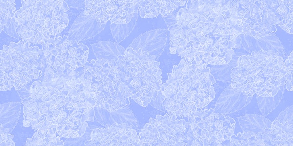 Periwinkle Blue Hydrangea Flowers