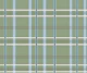 Sage Green and blue Tartan Check Lines