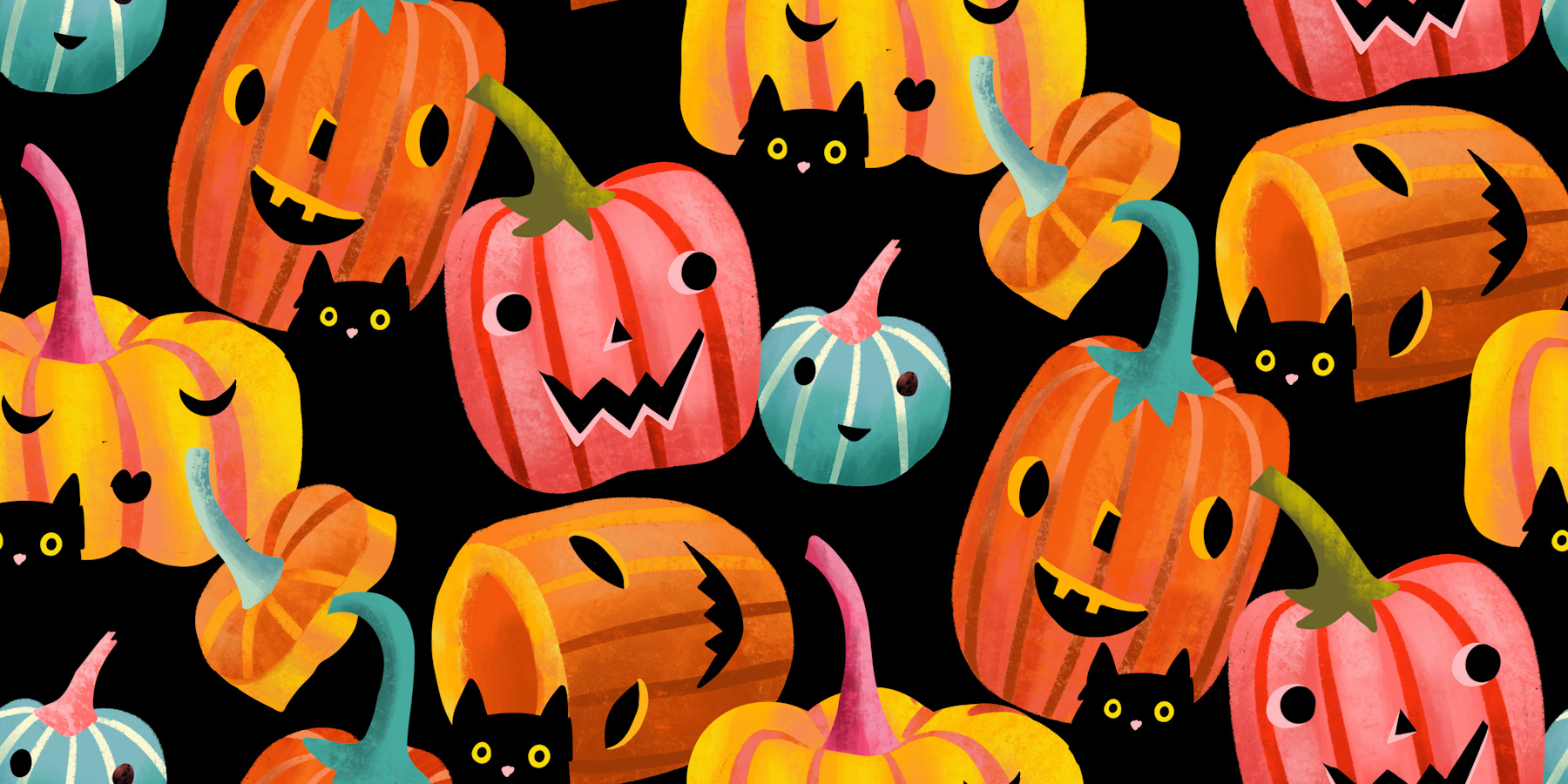 zucca
