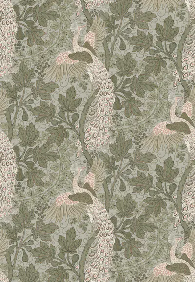 Pattern