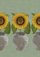 Sunflowers in Pots - Olive Green Frieze tapet