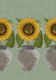 Sunflowers in Pots - Olive Green Frieze