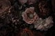 Moody Amber Opulent Baroque Night Garden