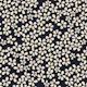 Daisies in Navy