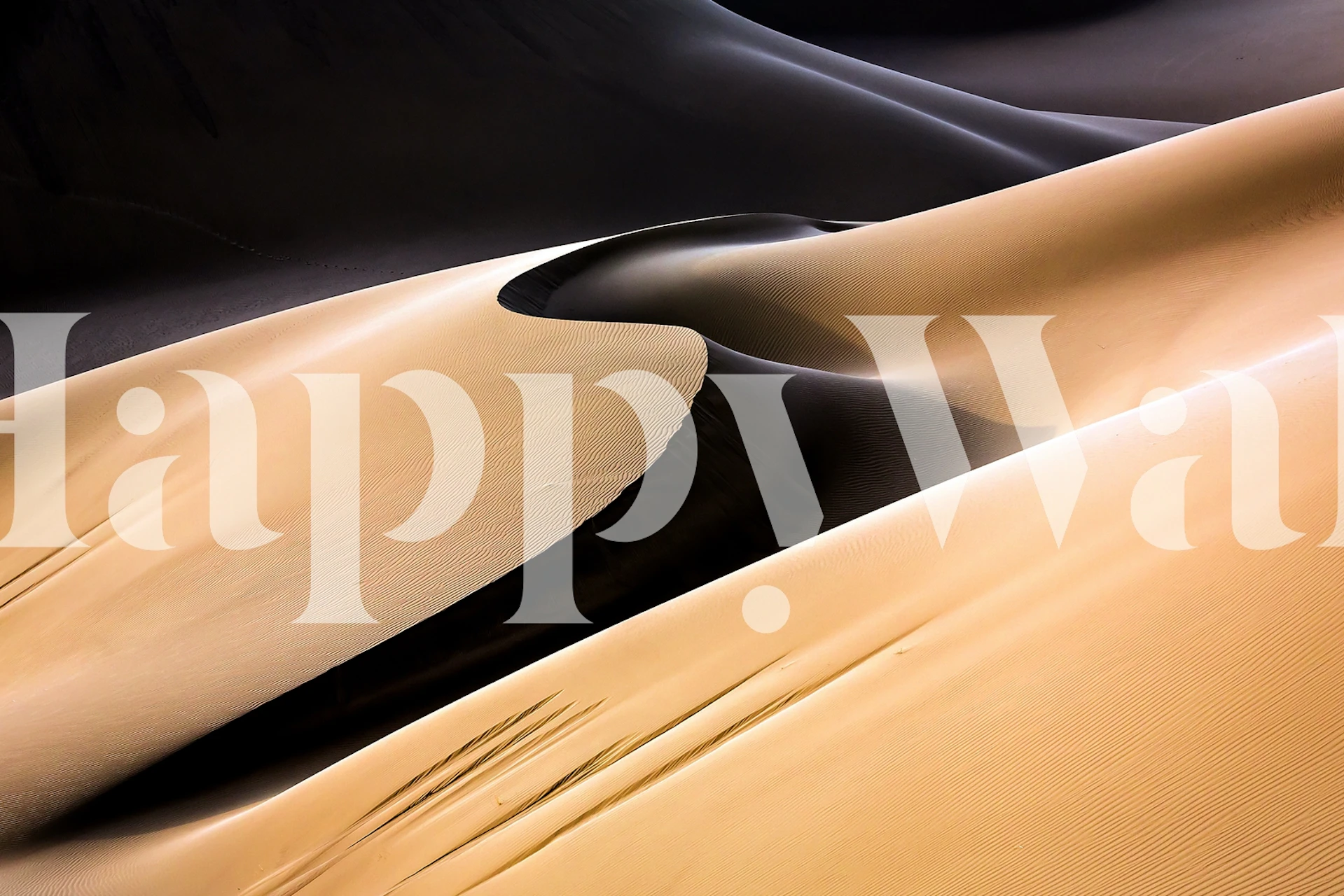 Abstract desert dunes wall mural capturing light and shadow