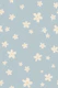 Simple Sweet Daisies - Blue Cream Yellow