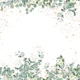Sage Green Eucalyptus Leaf Border