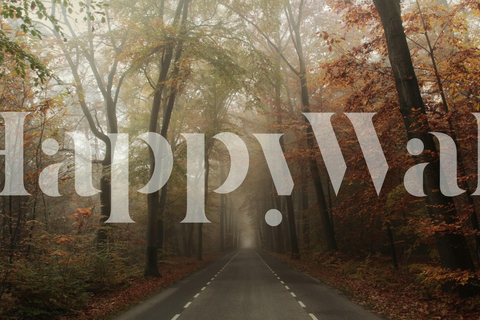 Autumn forest scene with mist and trees in shades of brown and gold wallpaper