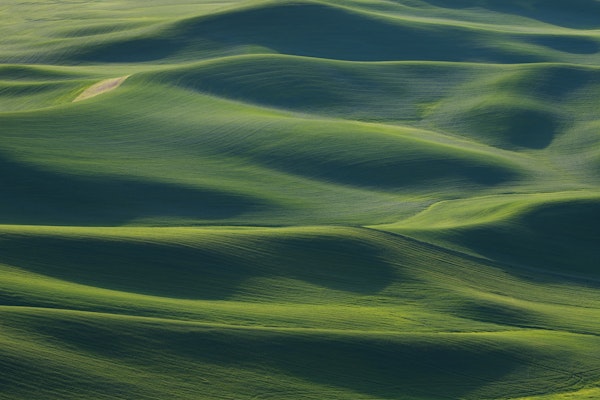 The Earths Fine Skin