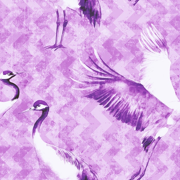Cranes purple