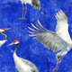 Cranes electric blue
