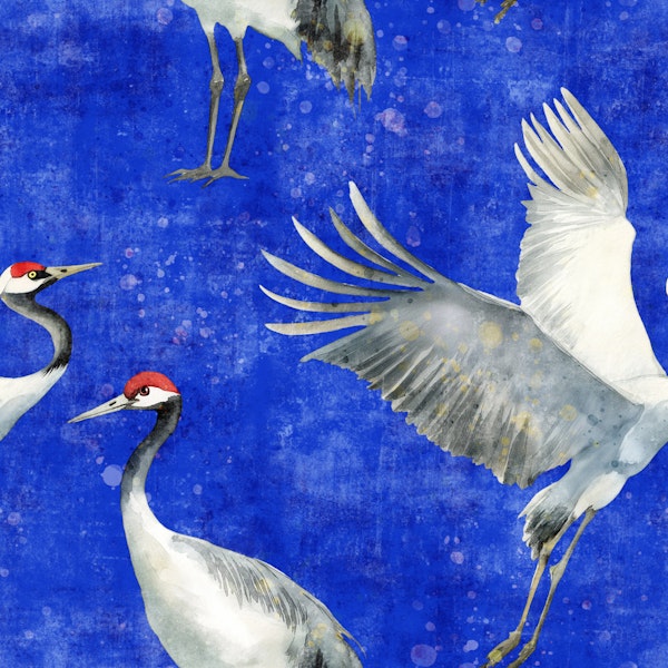 Cranes electric blue