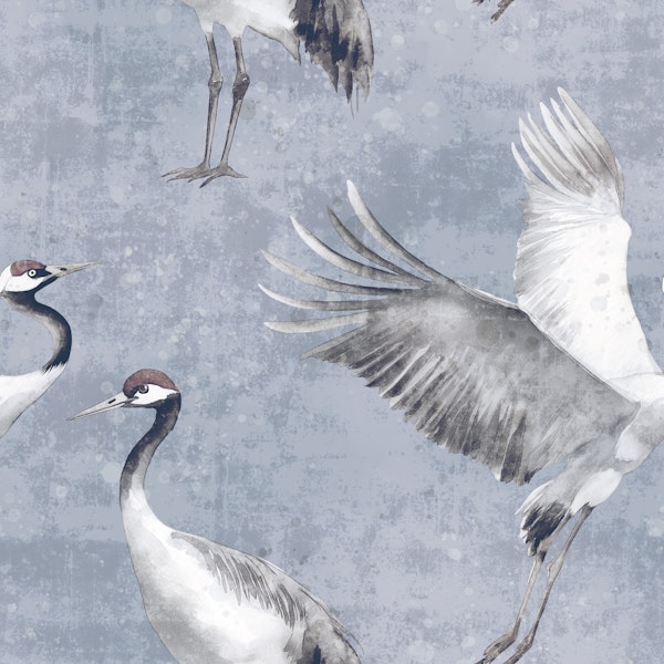 Cranes Dusty blue