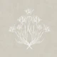 Vintage Tulip Bouquet - Greige