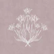 Vintage Tulip Bouquet - Dusty Pink
