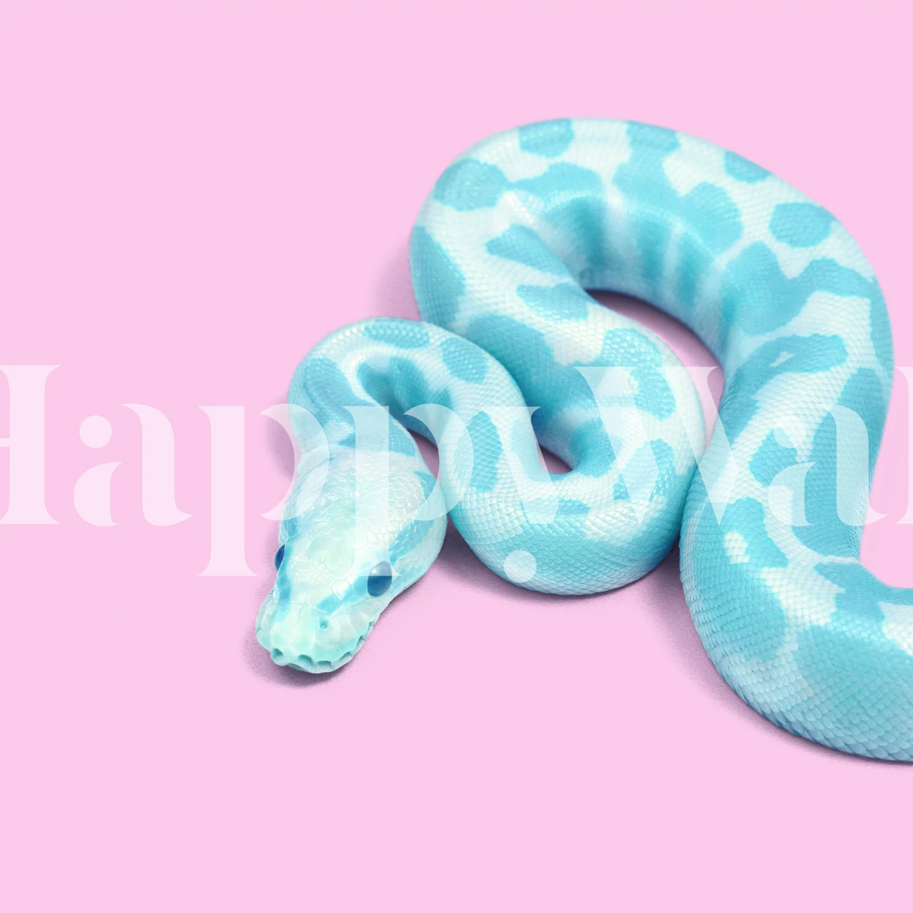 A blue snake with light blue and white patterns on a pink background wallpaper