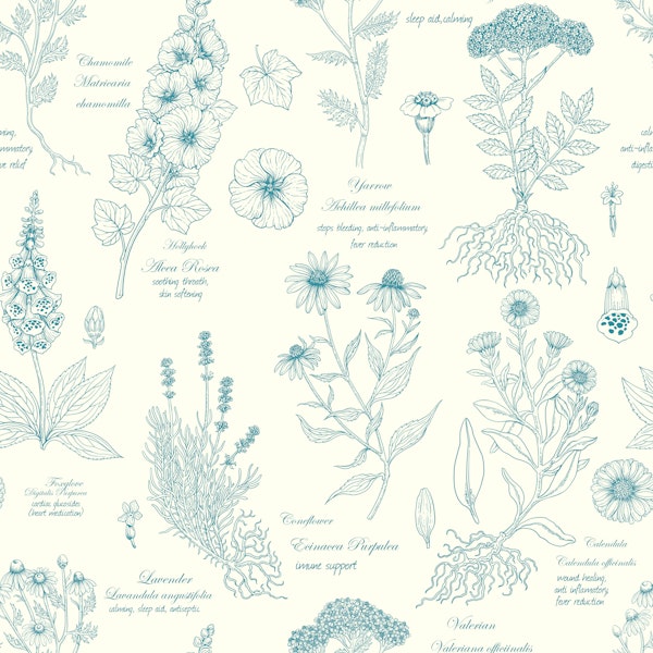 Medicinal Garden Herbarium blue linework