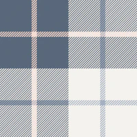 Dusty blue plaid with blush stripe wallpaper