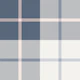 Dusty blue plaid with blush stripe
