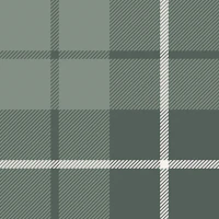 Forest Green Plaid Checks tapete