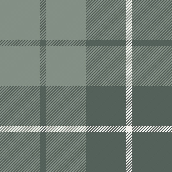 Forest Green Plaid Checks