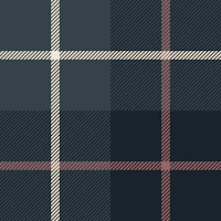 Navy blue plaid tartan stripes wallpaper