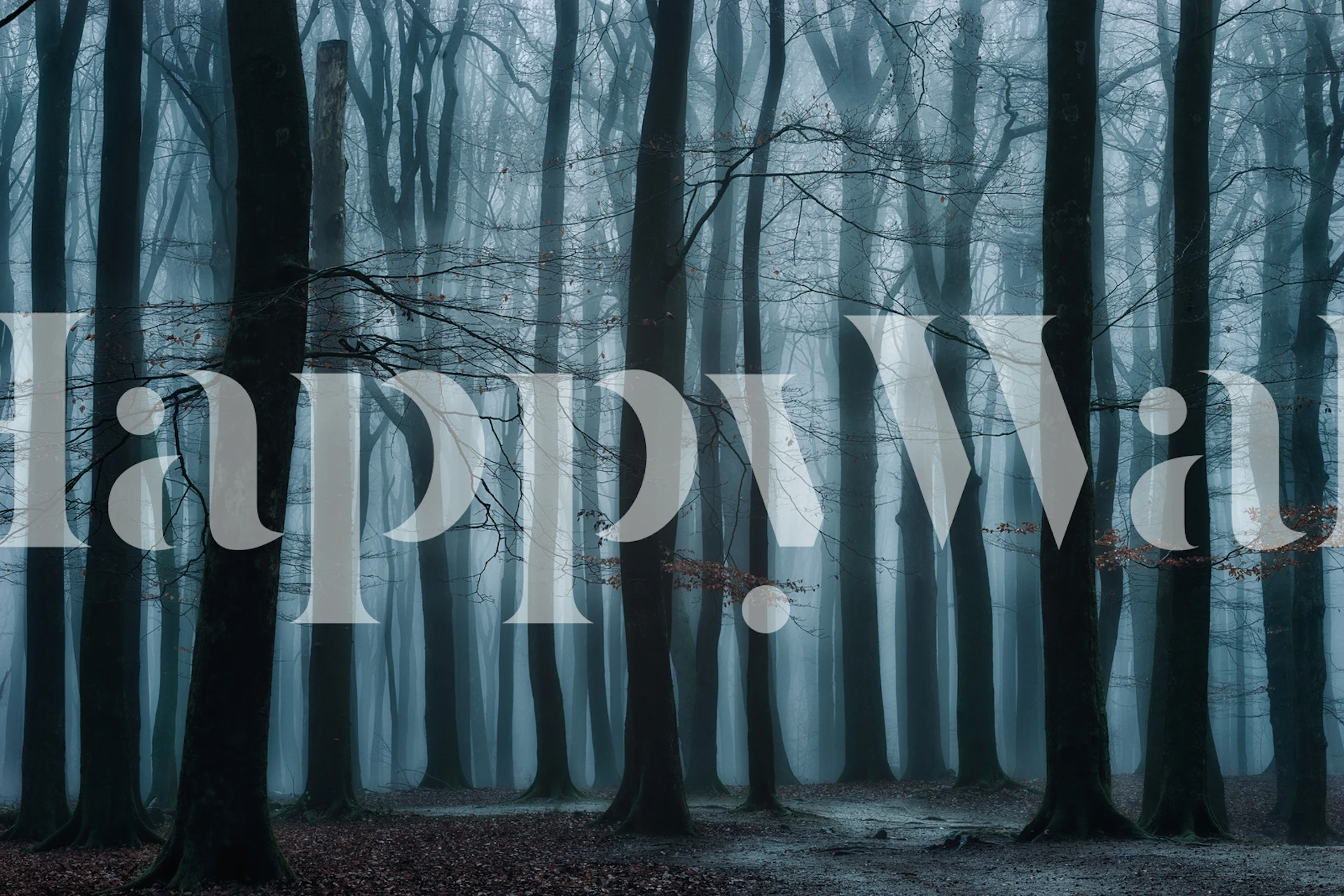 All Of Us tapet i et stille værelse