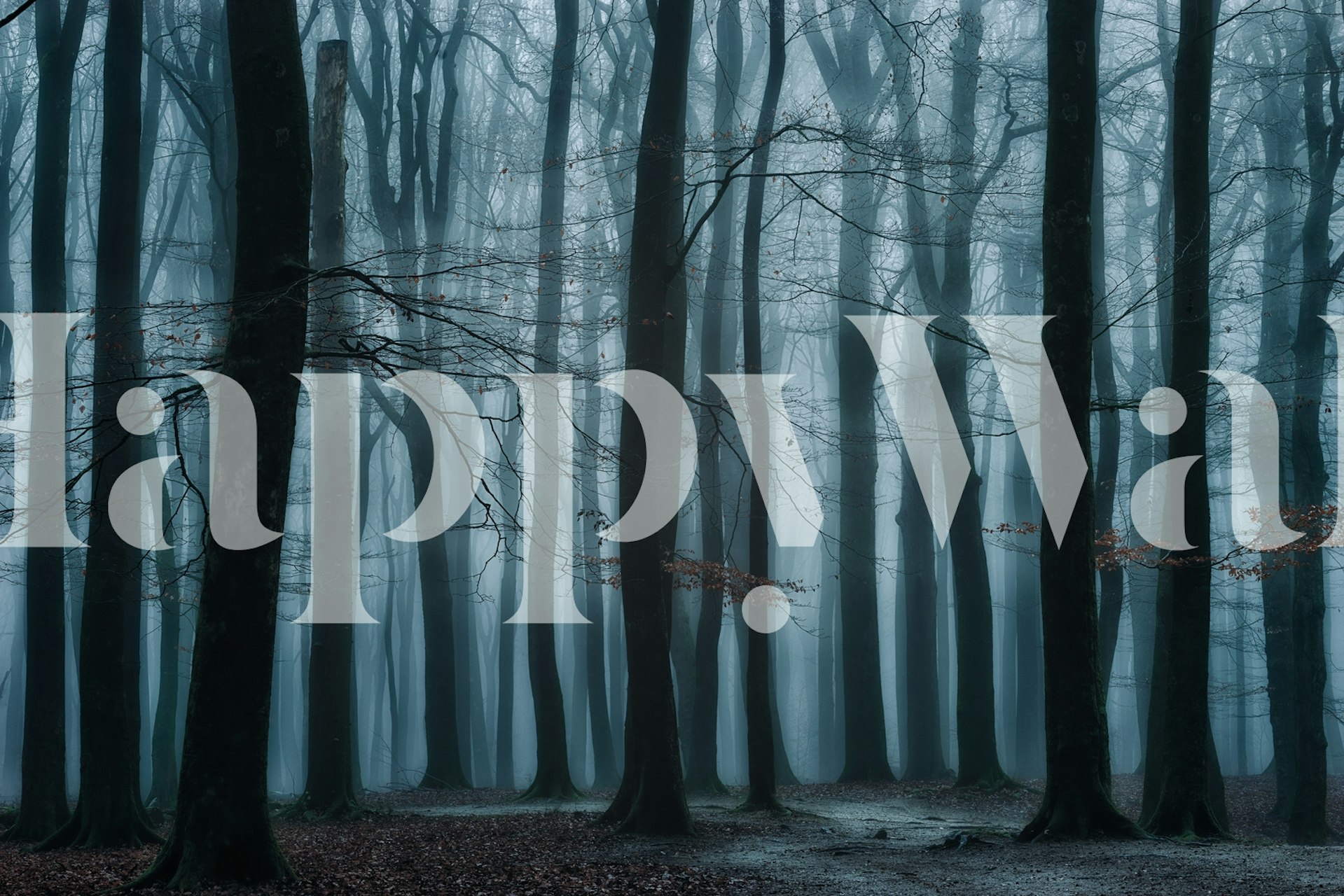 All Of Us tapet i ett lugnt rum