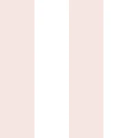Blush Pink Wide Vertical Stripes behang