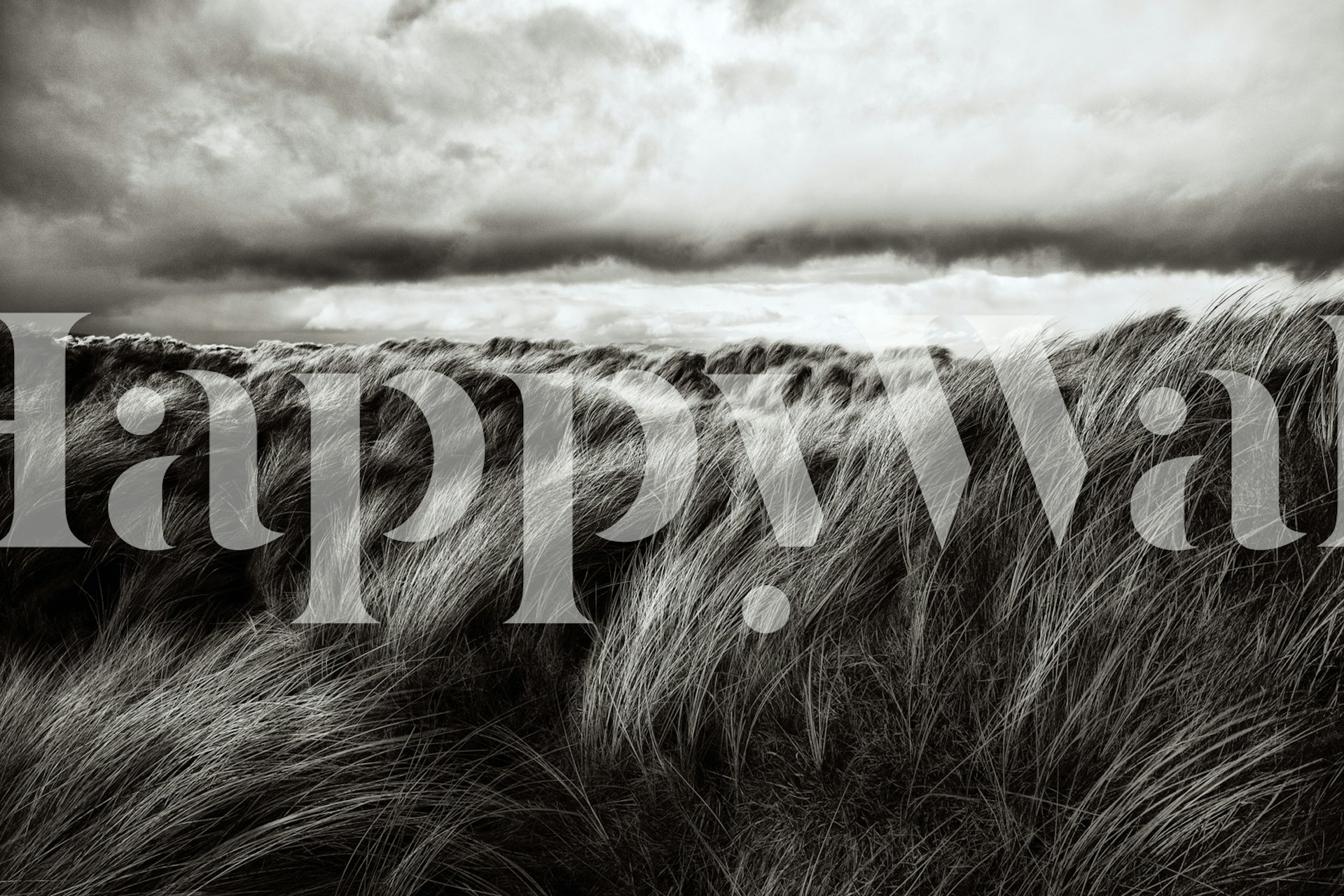 Mural monocromático que representa dunas cubiertas de hierba azotadas por el viento