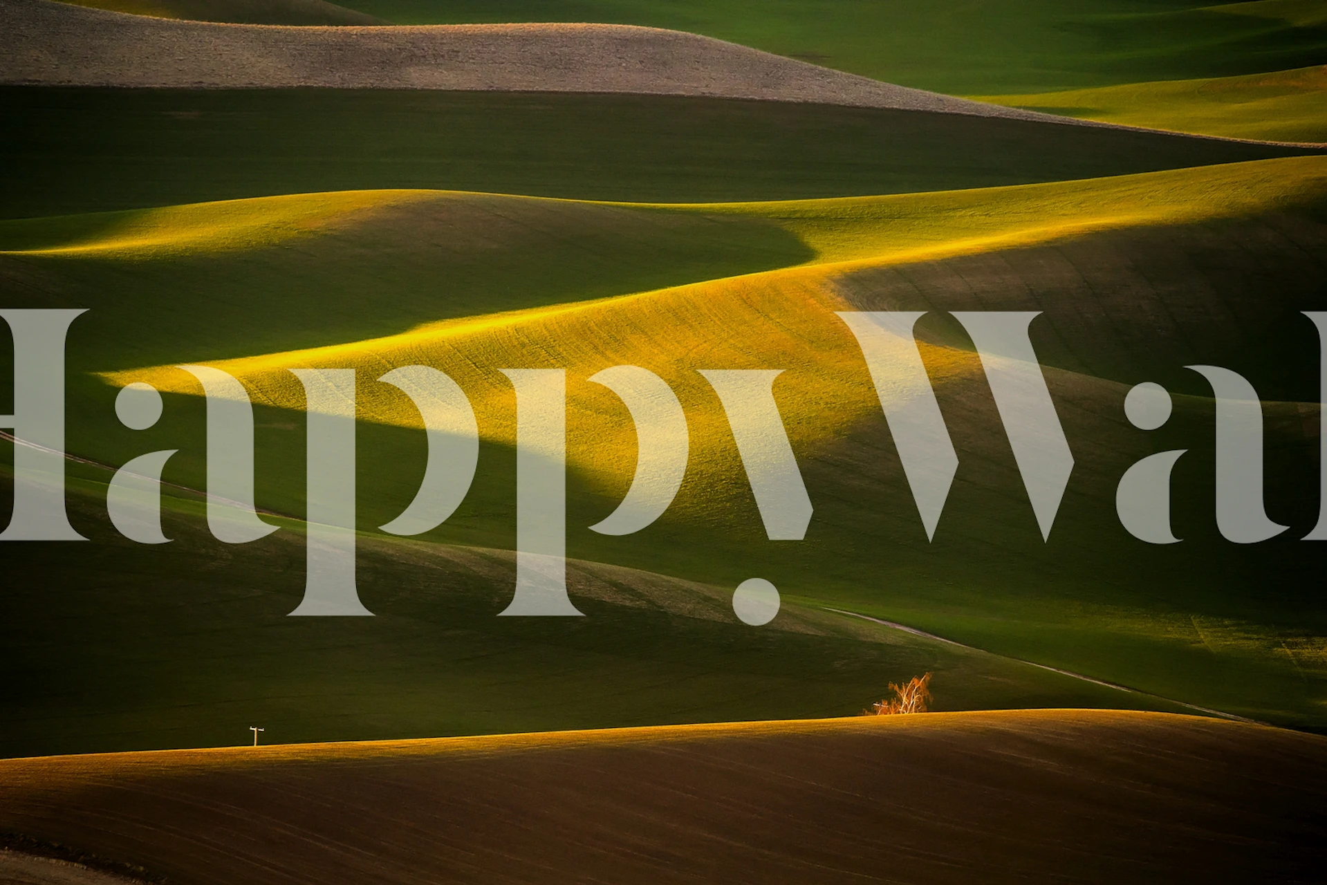 Pole and tree wallpaper in a room setting